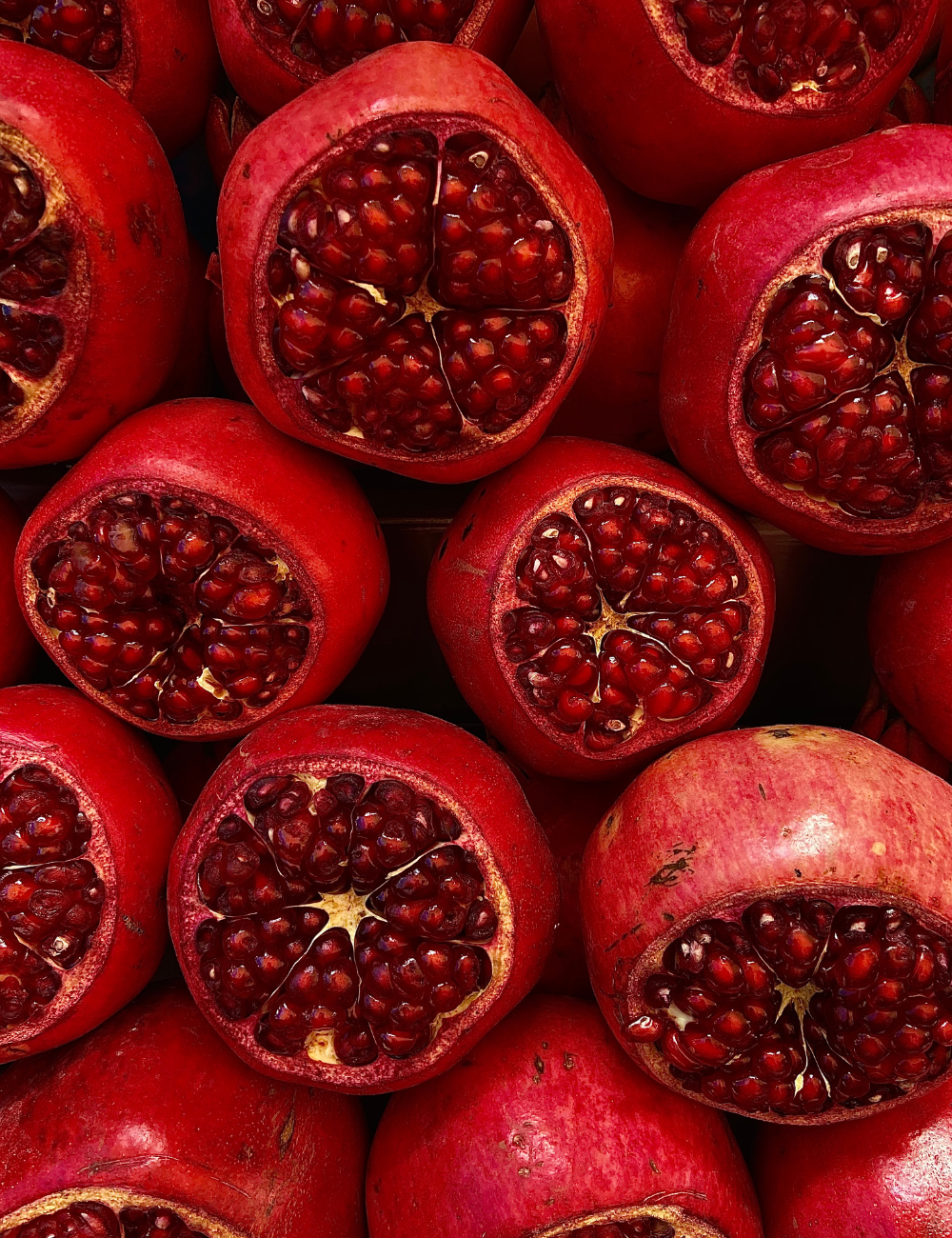 Shop Secondary Image Shop Secondary Image