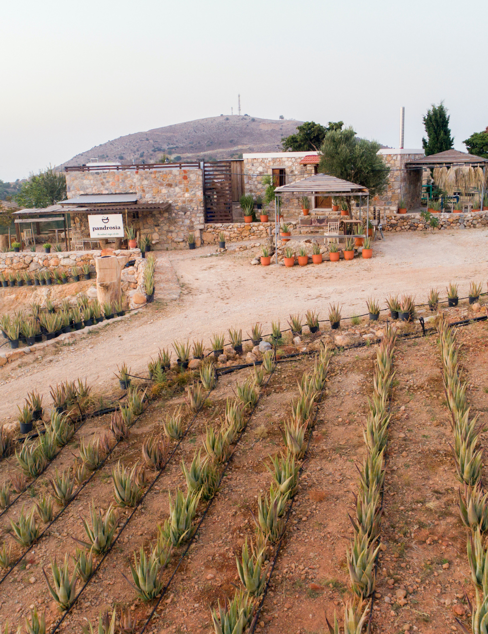 Shop Secondary Image Shop Secondary Image