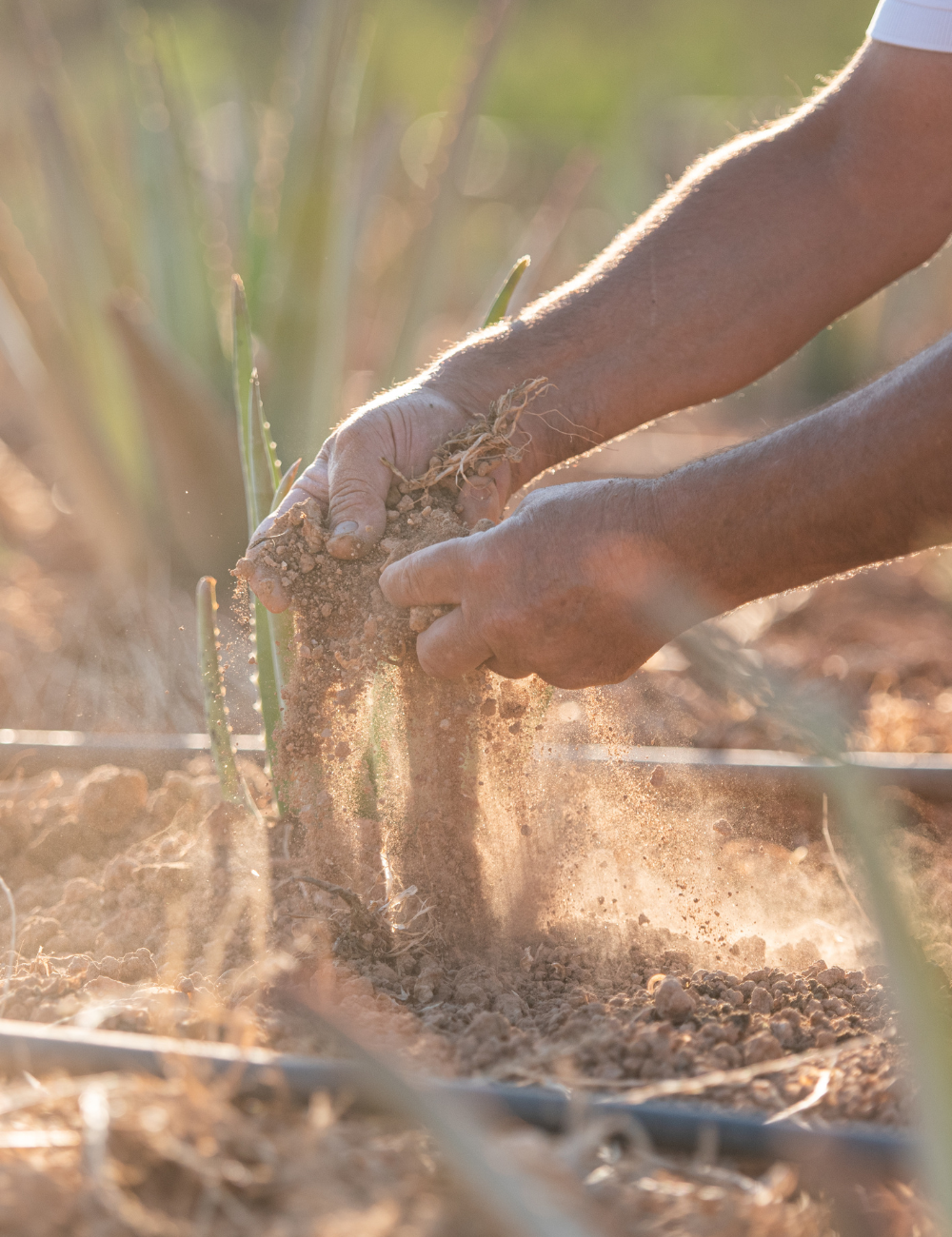 Shop Secondary Image Shop Secondary Image