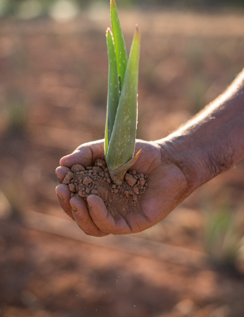 Shop Secondary Image Shop Secondary Image