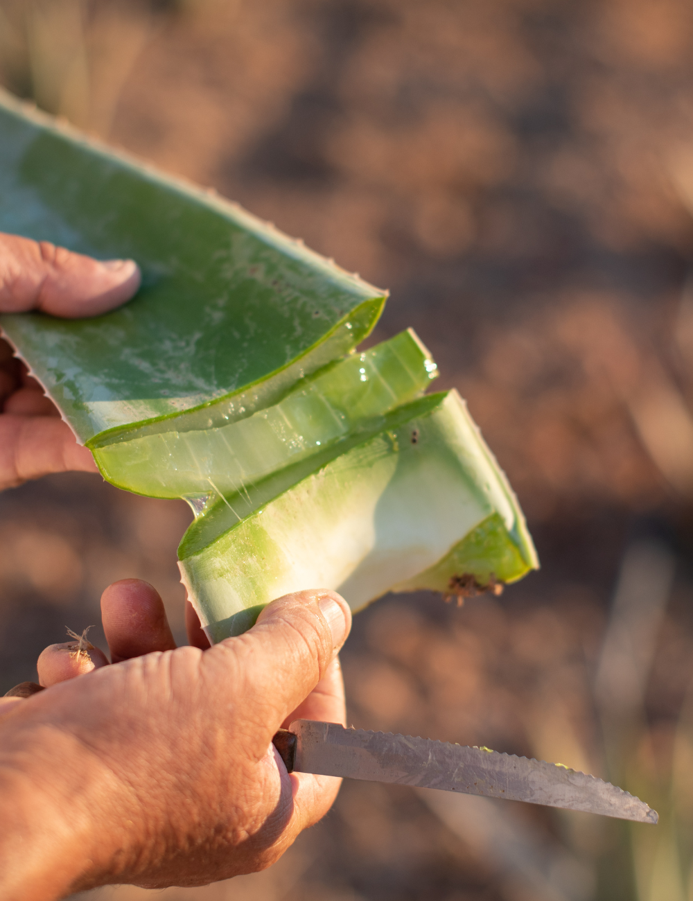 Shop Secondary Image